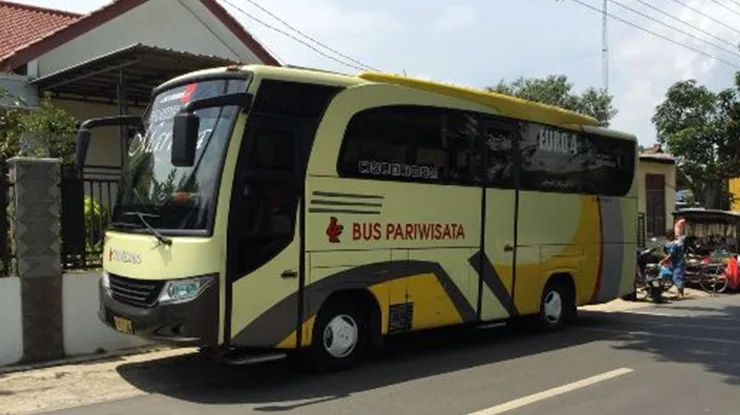 Bus Pariwisata Koresh