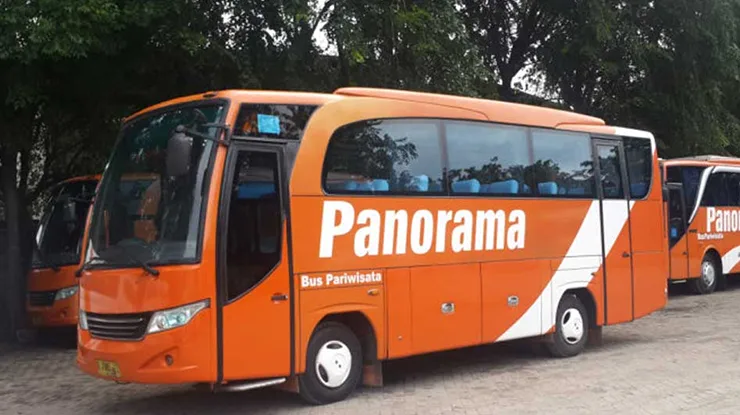 Bus Pariwisata Panorama