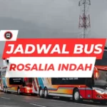 Jadwal Bus Rosalia Indah