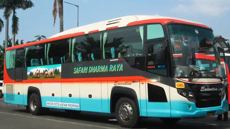 PO Safari Dharma Raya Jawa Tengah