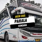 Agen Bus Pahala Kencana