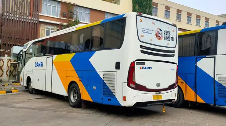 Kelas Bus DAMRI Bekasi Lampung