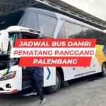 Jadwal DAMRI Pematang Panggang Palembang