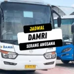 Jadwal DAMRI Serang Angsana