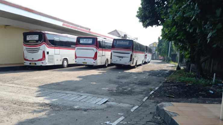 Bus Primajasa Tasik