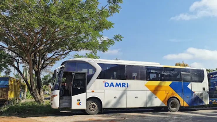 Jadwal Bus DAMRI Pangkalan Bun Pontianak Terbaru