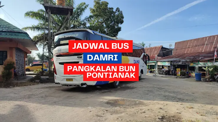 Jadwal Bus DAMRI Pangkalan Bun Pontianak