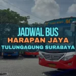 Jadwal Bus Harapan Jaya Tulungagung Surabaya