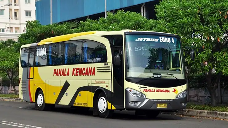 Jadwal Bus Pahala Kencana Bandung Bali Hari Ini