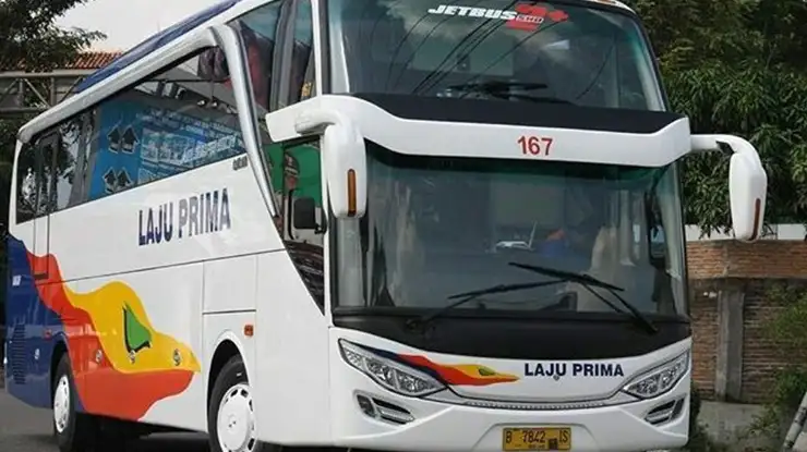 Harga Tiket Bus Laju Prima Jambi Bandung Terbaru