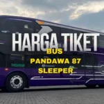 Harga Tiket Bus Pandawa 87 Sleeper