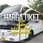 Harga Tiket DAMRI Kayuringin Pringsewu