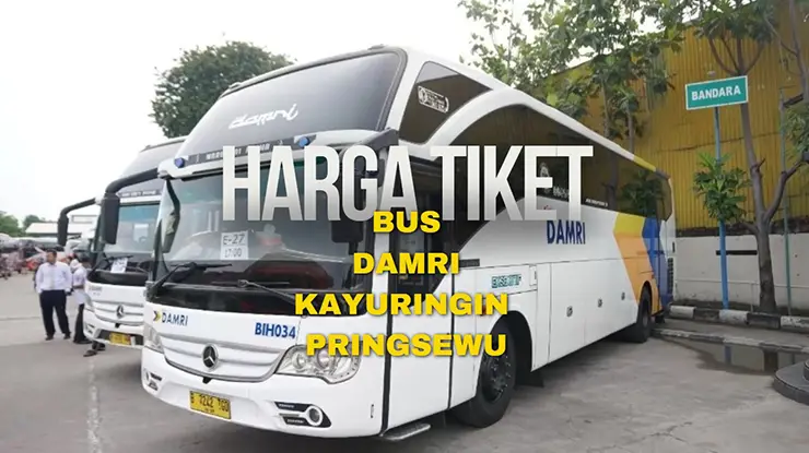 Harga Tiket DAMRI Kayuringin Pringsewu