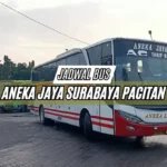 Jadwal Bus Aneka Jaya Surabaya Pacitan