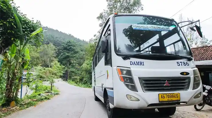 Jadwal Bus DAMRI Pacitan Ponorogo Hari Ini