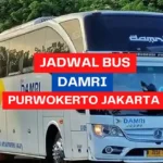 Jadwal Bus DAMRI Purwokerto Jakarta