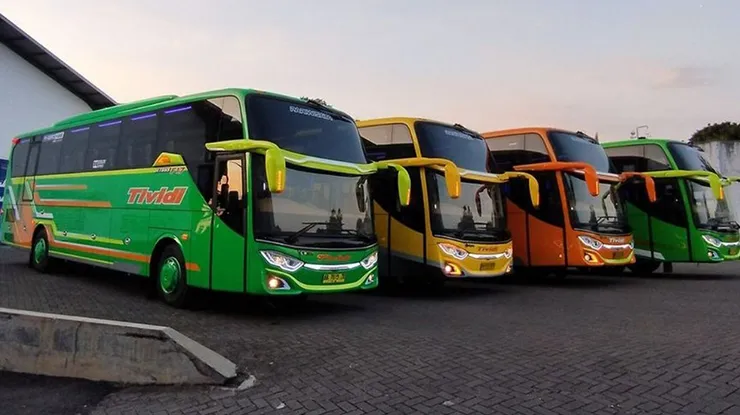 Jadwal Keberangkatan Bus Tividi Jogja Malang