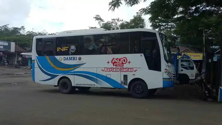 Kelas Bus DAMRI Pacitan Ponorogo