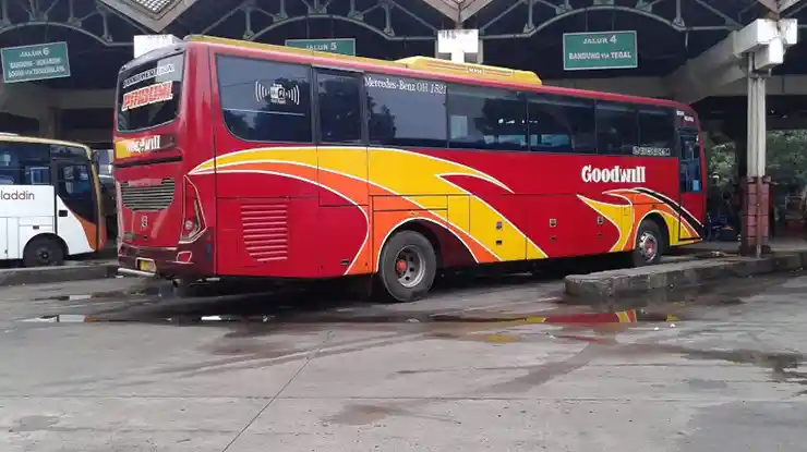 Pengalaman Pengguna Bus Goodwill