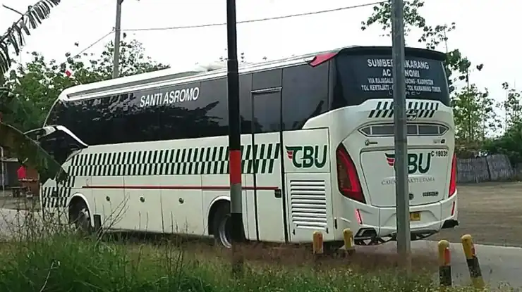 Ulasan Pengguna Bus CBU