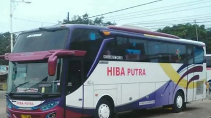 2. Agen Hiba PO Putra Palembang