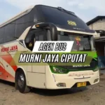 Agen Bus Murni Jaya Ciputat