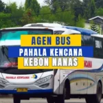 Agen Bus Pahala Kencana Kebon Nanas