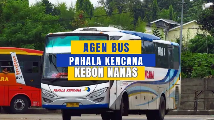 Agen Bus Pahala Kencana Kebon Nanas