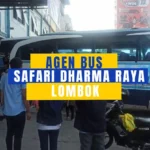 Agen Bus Safari Dharma Raya Lombok