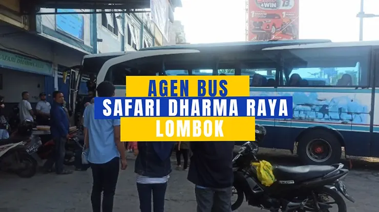 Agen Bus Safari Dharma Raya Lombok