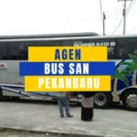 Agen PO SAN Pekanbaru