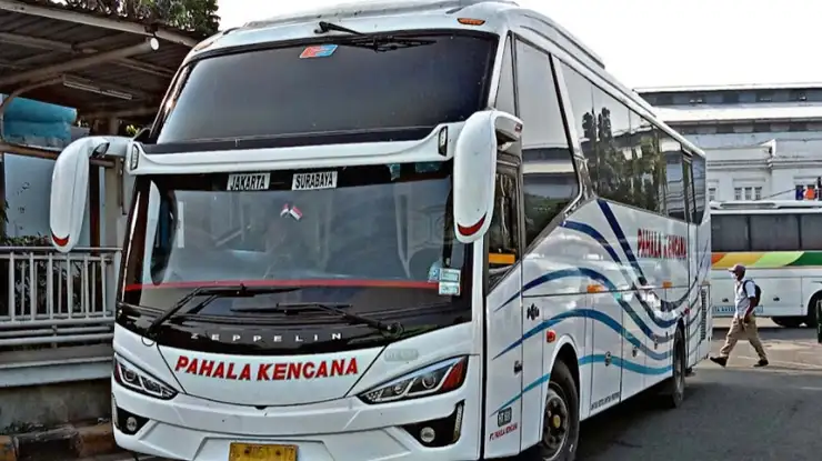 Agen Pahala Kencana Tanjung Priok