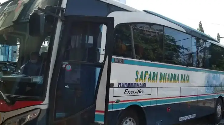 Alamat Agen PO Safari Dharma Raya Lombok