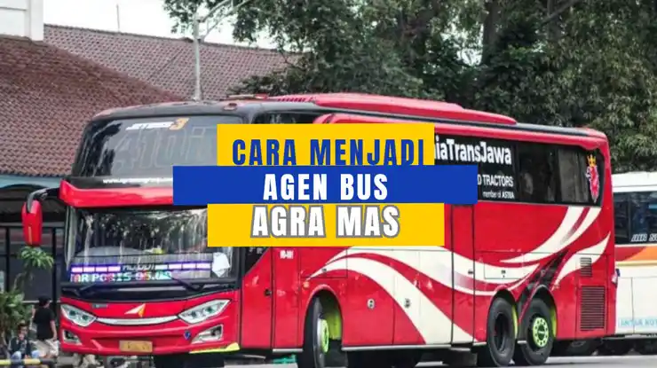 Cara Menjadi Agen Bus Agra Mas