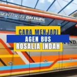 Cara Menjadi Agen Bus Rosalia Indah