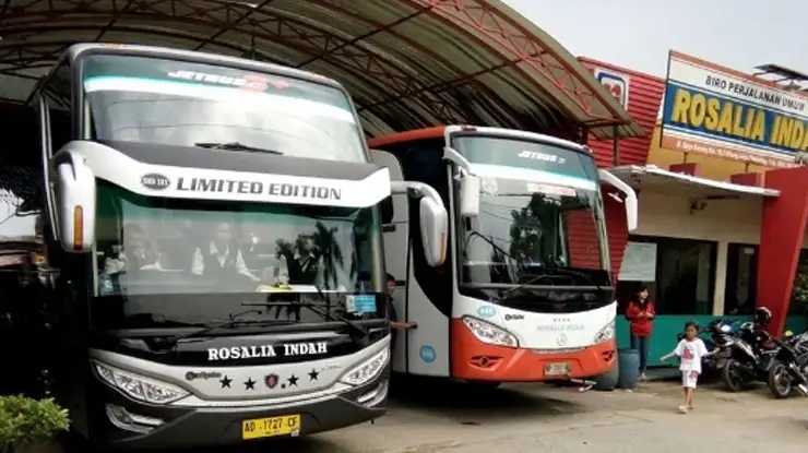 Cara Menjadi Perwakilan Bus Rosalia Indah