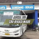 Jadwal Bus CBU Bekasi Wado