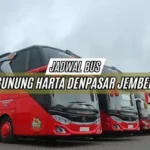 Jadwal Bus Gunung Harta Denpasar Jember