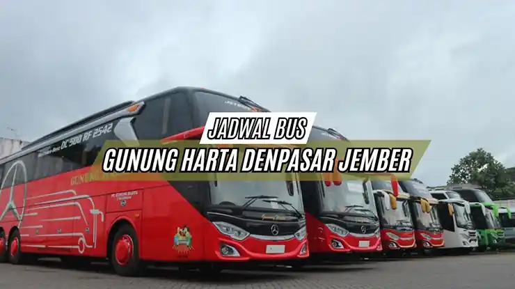 Jadwal Bus Gunung Harta Denpasar Jember