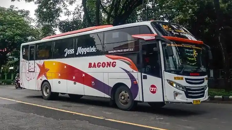 Kelas Bus Bus Bagong Blitar Malang