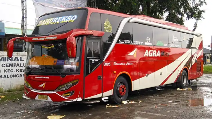 Keuntungan Menjadi Agen Bus Agra Mas