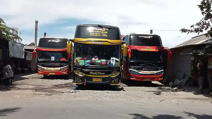 Review Bus Madu Kismo Cirebon Denpasar